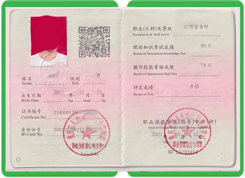 证件制作打印实操指南：2种主流方案对比与选择技巧